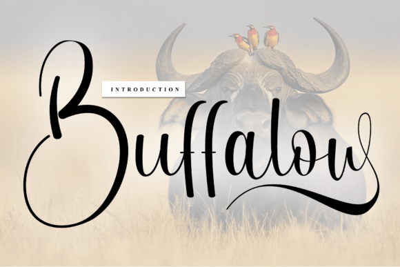 Buffalow: A Timeless Handwritten Font for Creative Designs